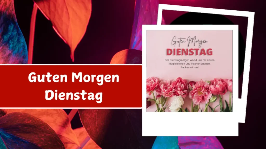 100 Guten Morgen Dienstag: Sprüche, Grüße und Wünsche 7 Guten Morgen Dienstag