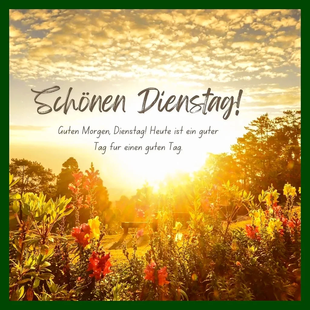 100 Guten Morgen Dienstag Bilder schöne Grüße 25 Guten Morgen Dienstag Sonnenaufgang
