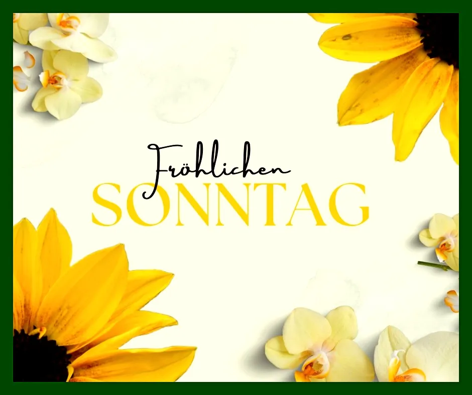 100 Guten Morgen Sonntag Bilder 69 guten morgen sonntag bilder blumen
