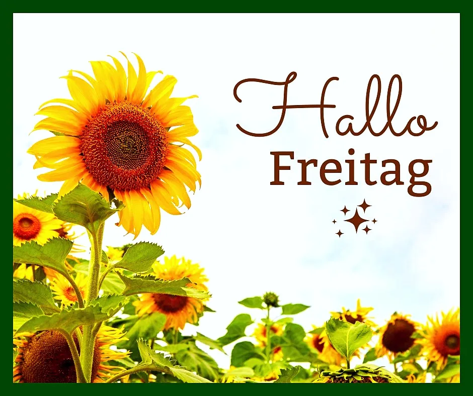 100 Guten Morgen Freitag Bilder | Schöner Spruch 75 guten morgen freitag bilder 28 1